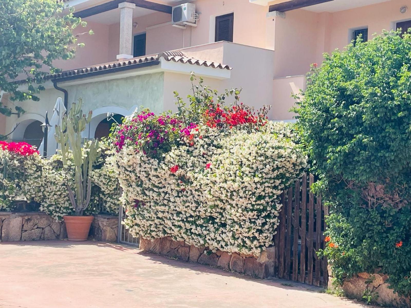 Appartamento Le Querce Vaccileddi Extérieur photo